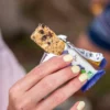 Barrette energetiche Meltonic Bio 30 g. Myrtilles & Noisettes