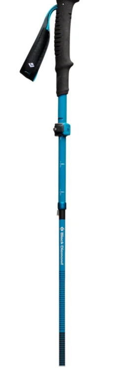 Bastoncini Black Diamond Distance Carbon Flz Desert Sky