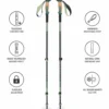 Bastoncini Black Diamond Trail Vista Shock Trek 110-140 cm Deep Woods