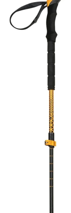 Bastoncini Ferrino Stick Mustang Dore / Noir