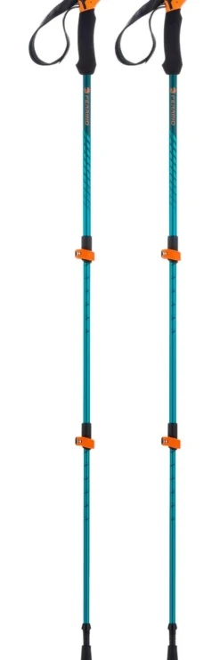 Bastoncini Ferrino Stick Ultar Bleu / Noir