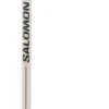 Bastoncini Salomon Mtn Alu S3 Rainy Day Green