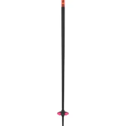 Bastoncini Salomon Polar Pro S3 Flame