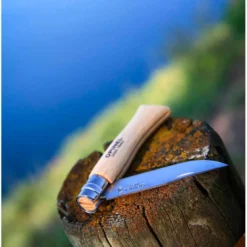 Coltelli Opinel N°10 Inox Brown