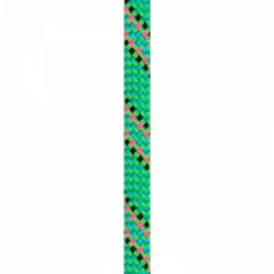 Corde Beal Tiger 10mm Dry Cover Green