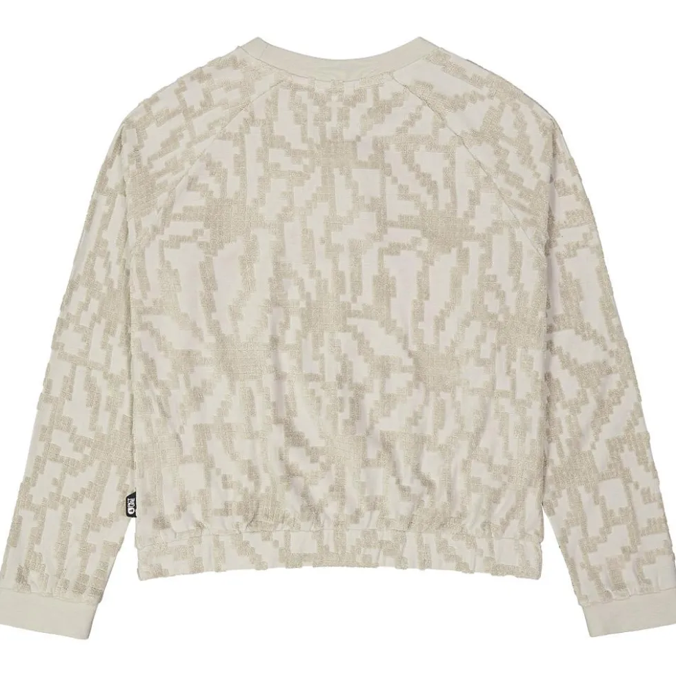 Felpa Picture Clady Crew Pure Cashemere Embossed