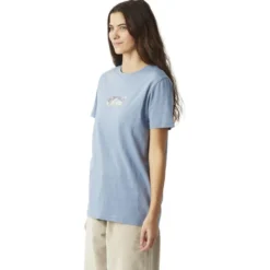 Maglietta Picture Basement Tee Stonewash