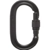 Moschettoni Black Diamond Oval Keylock Screwgate Black 2