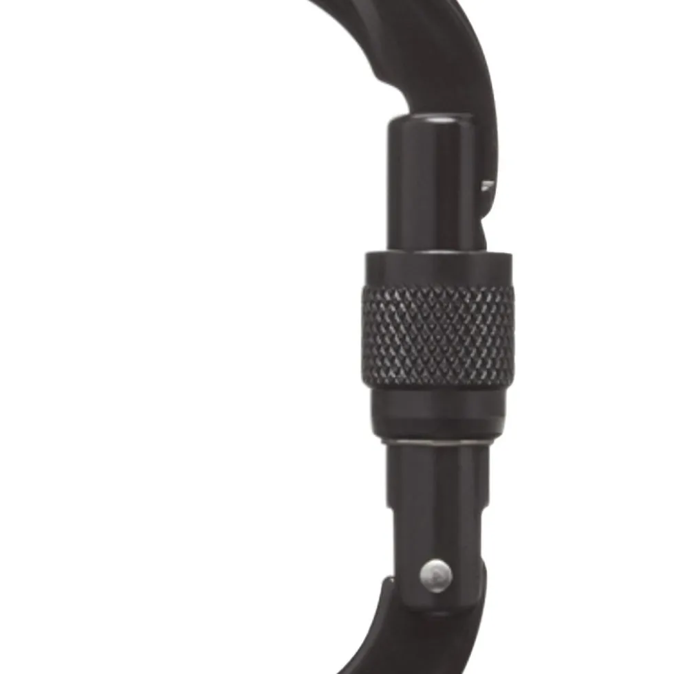 Moschettoni Black Diamond Oval Keylock Screwgate Black 2