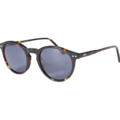 Occhiali da sole Binocle Eyewear California Shiny Tortoise Grey Polarized