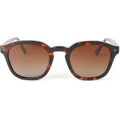 Occhiali da sole Binocle Eyewear James Shiny Tortoise Gradient Brown Polarized