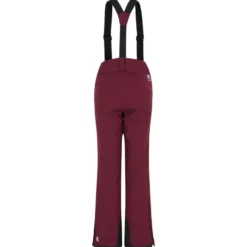 Pantaloni tecnici DARE2B Diminish Fig