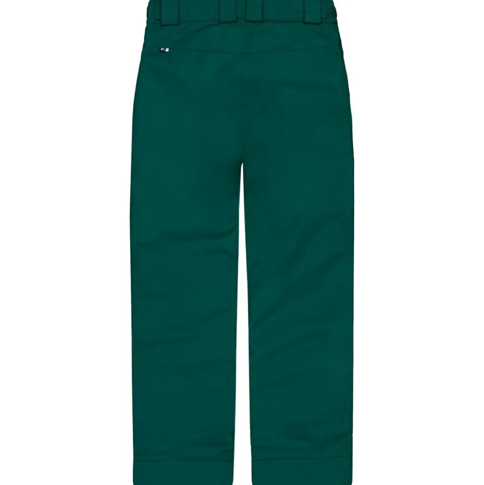 Pantaloni tecnici Picture Time Ponderosa Pine