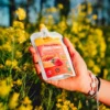 Purè Meltonic Puree Proteinee Bio Banane Fraise