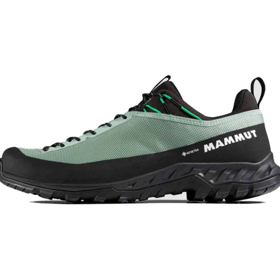 Scarpe da avvicinamento Mammut Alnasca IV Low Gore-Tex Deep Silver Sage Pinea