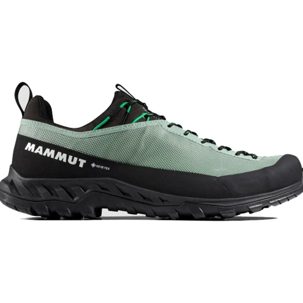 Scarpe da avvicinamento Mammut Alnasca IV Low Gore-Tex Deep Silver Sage Pinea