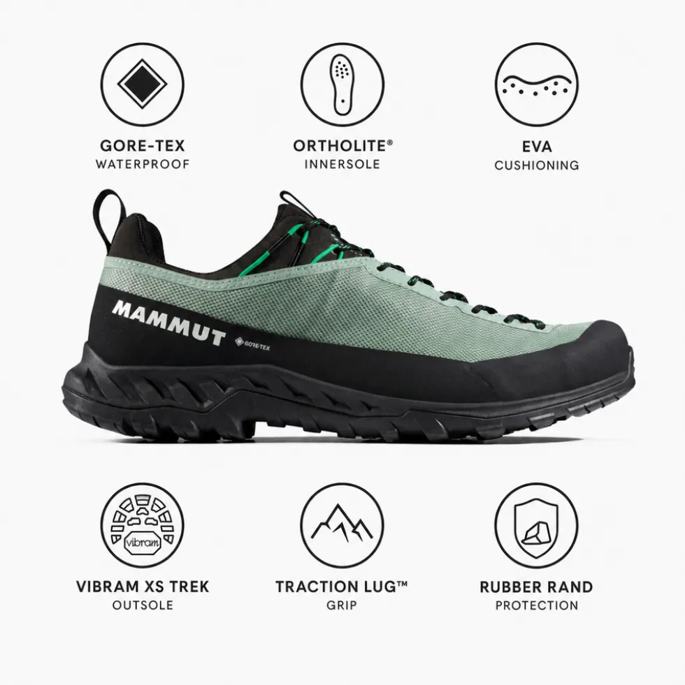 Scarpe da avvicinamento Mammut Alnasca IV Low Gore-Tex Deep Silver Sage Pinea
