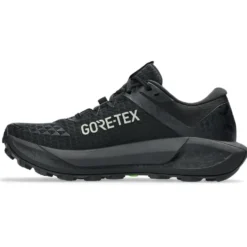 Scarpe da trail Asics Gel-Trabuco 13 Gore-Tex Wmn Black Graphite Grey