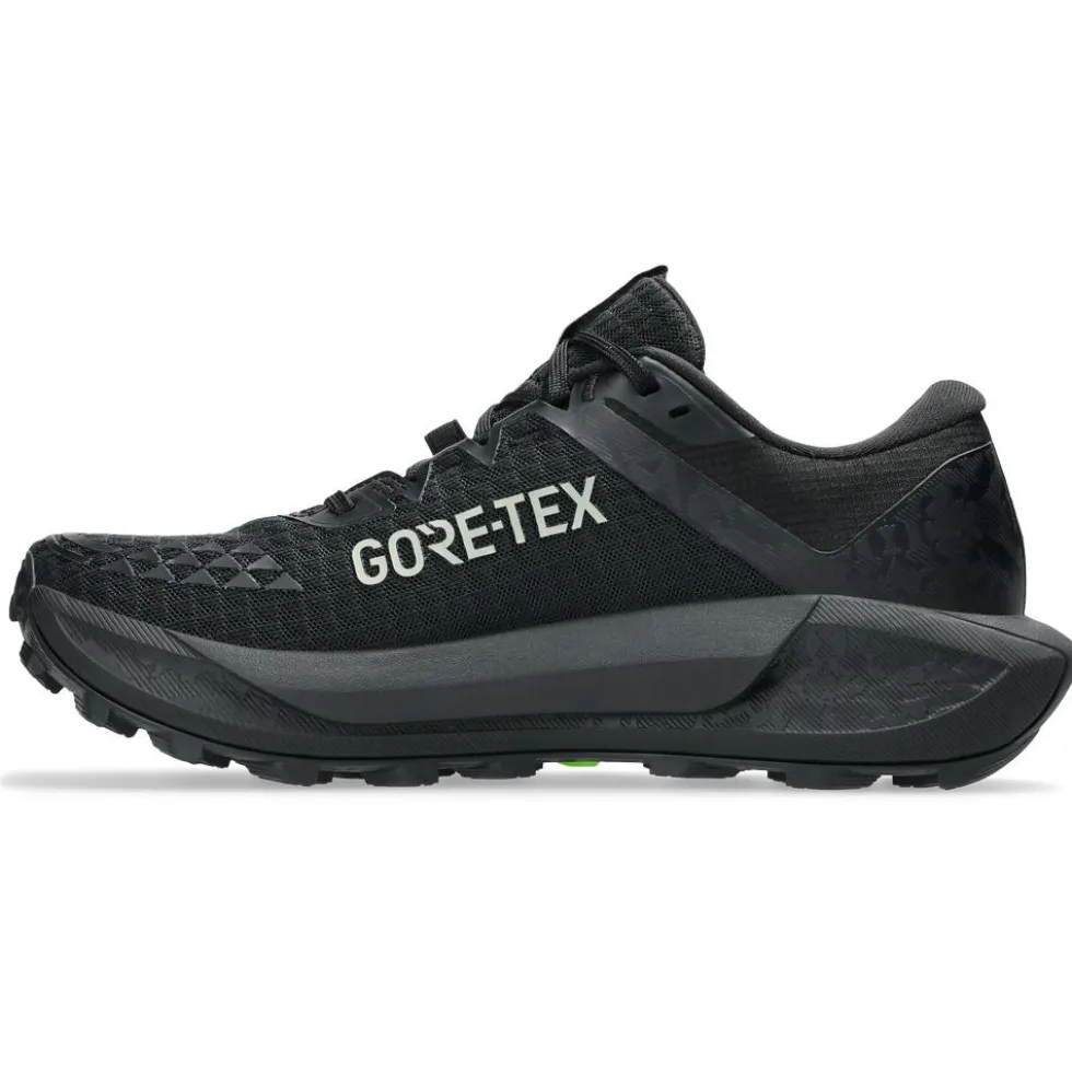 Scarpe da trail Asics Gel-Trabuco 13 Gore-Tex Wmn Black Graphite Grey