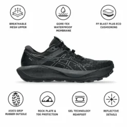 Scarpe da trail Asics Gel-Trabuco 13 Gore-Tex Wmn Black Graphite Grey