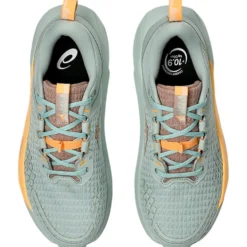 Scarpe da trail Asics Gel-Trabuco 13 Wmn Lichen Rock Cream
