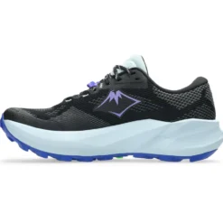 Scarpe da trail Asics Trabuco 14 Wmn Black Amethyst