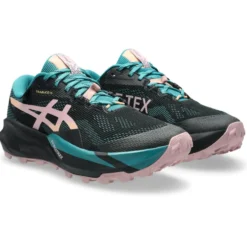 Scarpe da trail Asics Trabuco 14 Gore-Tex Wmn Black Morganite