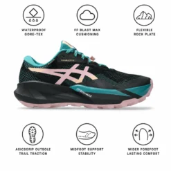 Scarpe da trail Asics Trabuco 14 Gore-Tex Wmn Black Morganite