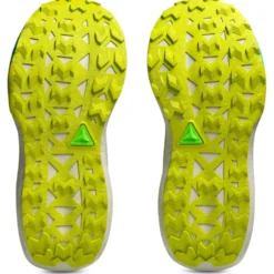 Scarpe da trail Asics Trabuco Max 5 Light Dust Cacti