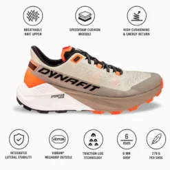 Scarpe da trail Dynafit Ultra 100 V3 Rock Khaki Overcast