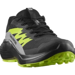Scarpe da trail Salomon Alphaglide Gore-Tex Black Alloy Sharp Green