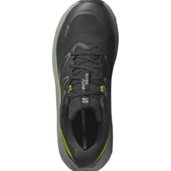 Scarpe da trail Salomon Ultra Flow 2 Gore-Tex Black Sedona Sage Incaberry
