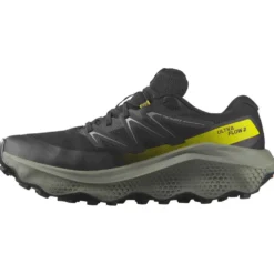 Scarpe da trail Salomon Ultra Flow 2 Gore-Tex Black Sedona Sage Incaberry