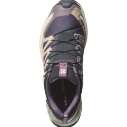 Scarpe da trail Salomon Xa Pro 3D V9 Gore-Tex W Nine Iron Oxford Tan Alfalfa