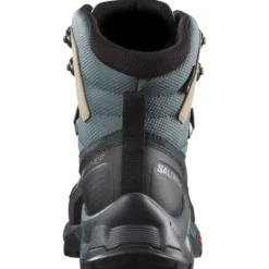 Scarpe trekking e montagna Salomon Quest Element Gore-Tex W Ebony Rainy Day Stormy Weather