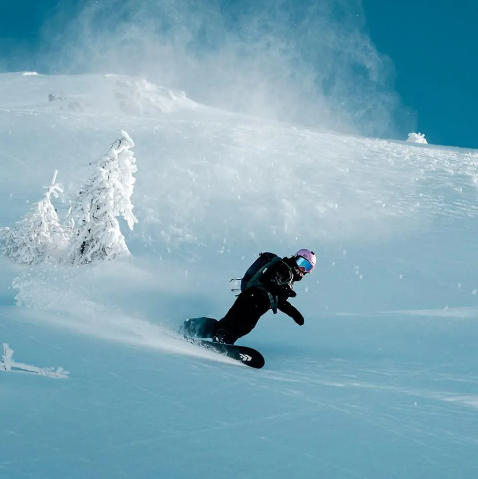 Tavola snowboard Borealis Koi