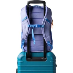 Zaino Cotopaxi Allpa 18L Daypack Cada Dia Aster