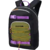 Zaino Dakine Grom Backpack 23L Purple Rein